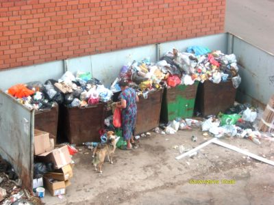 Как написать заявление о переносе мусорного контейнера